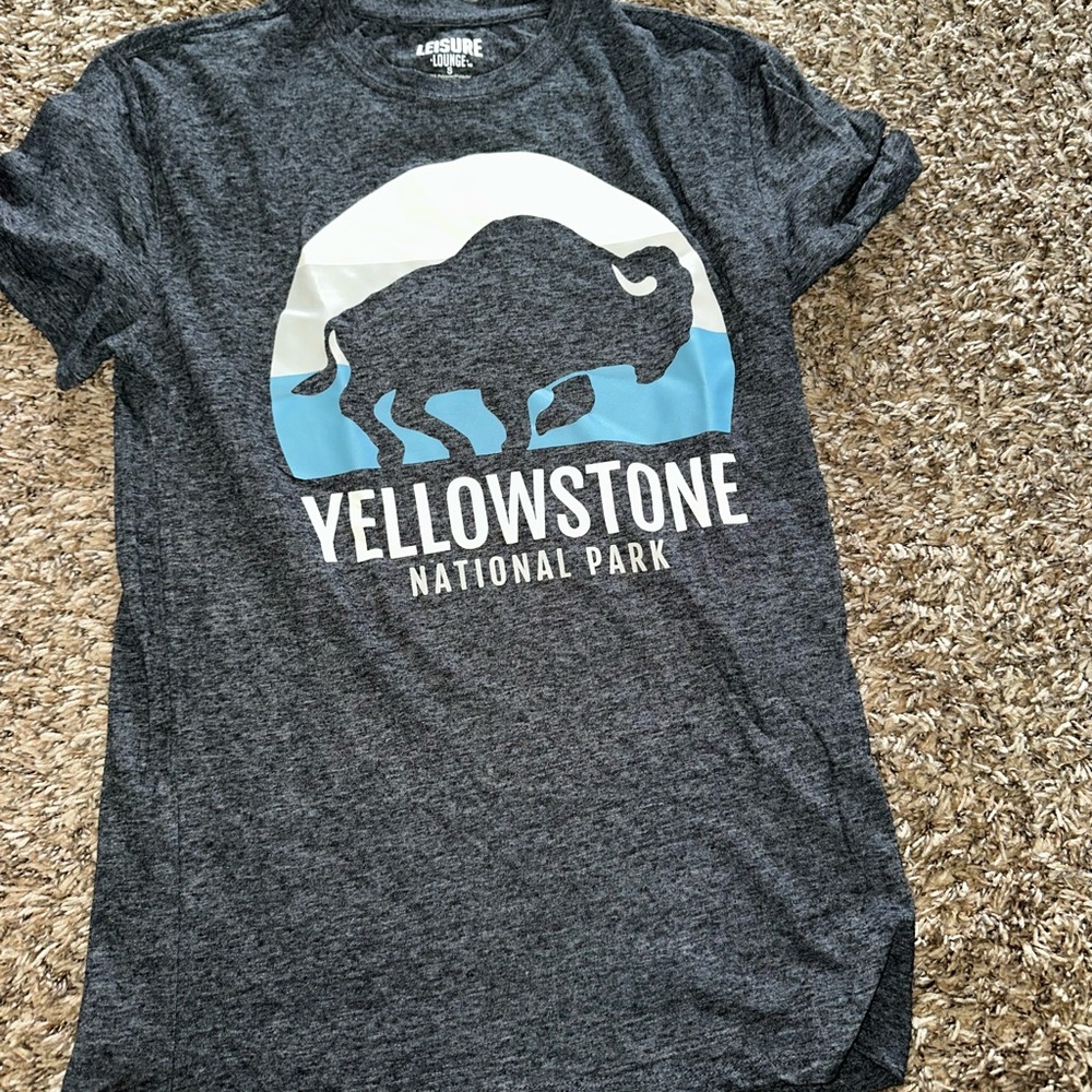 Yellowstone National Park Gray T-Shirt